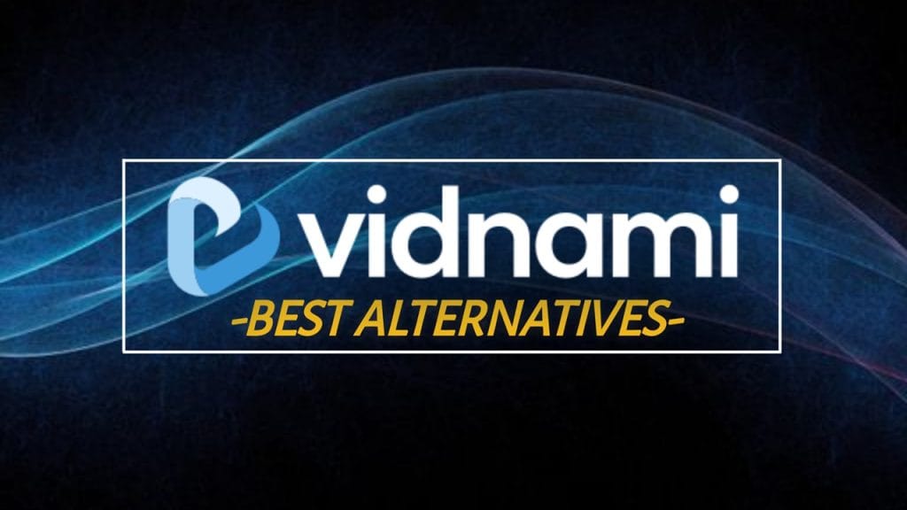 Vidnami Pro